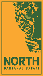 North Pantanal Safari